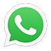 WhatsApp Icon