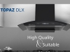 TOPAZ DLX 